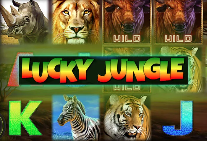 Découvrez les jackpots et jeux en direct de Rainbet Casino en ligne.