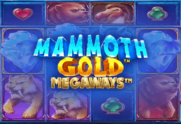 Rainbet Casino slot machine jackpot