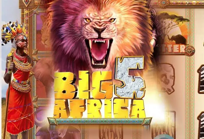 Expérience immersive de casino en direct Rainbet